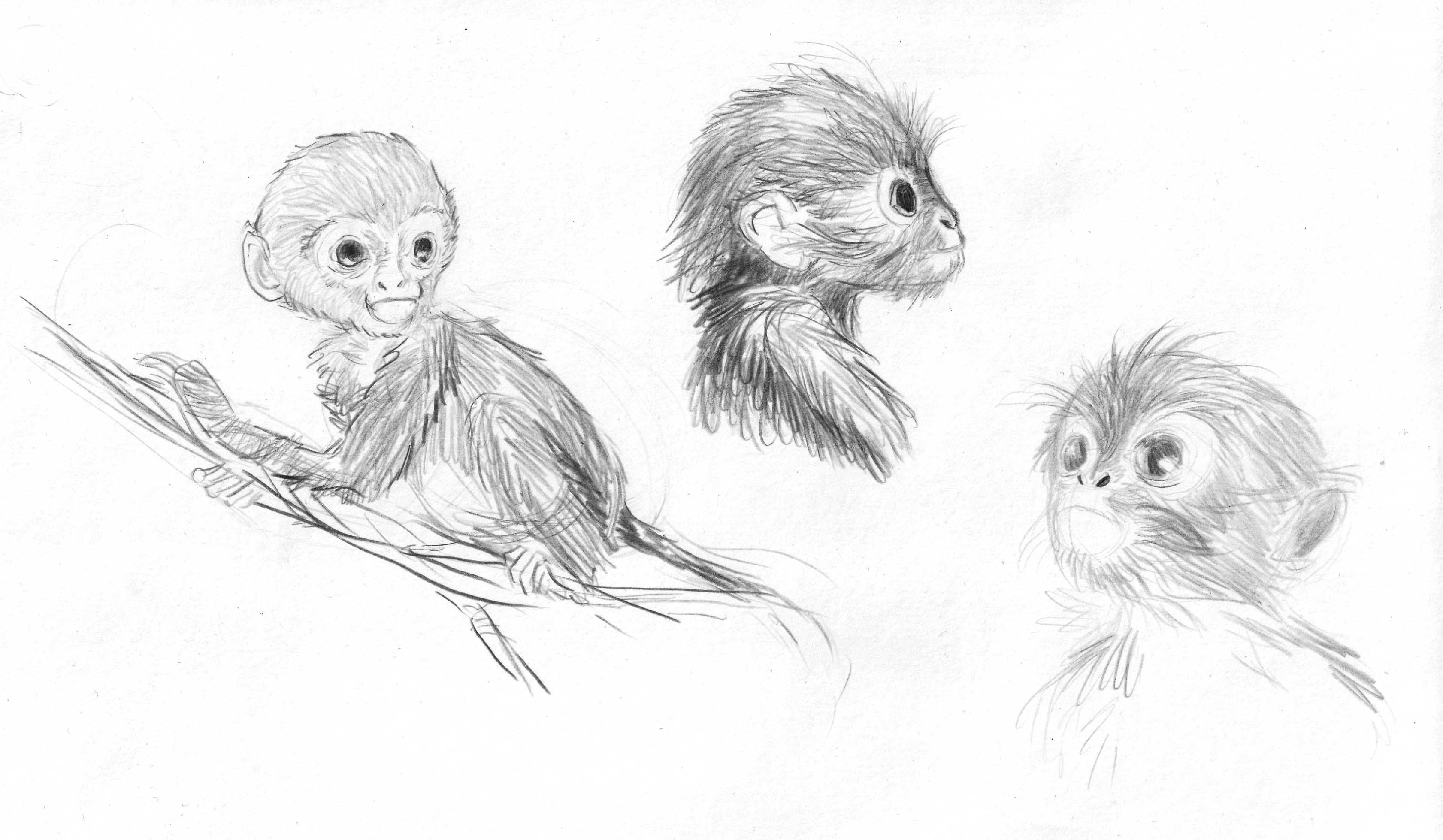 IMG_20231005_0006_co